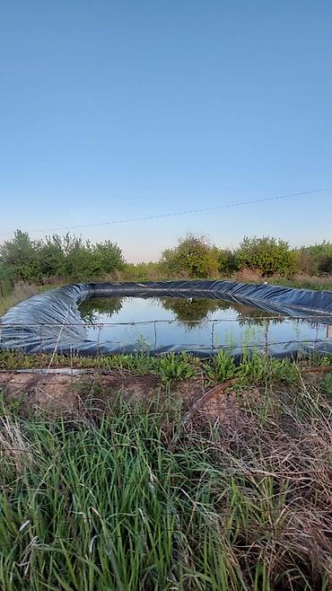 premium development: 120 соток, Для сельского хозяйства, Договор купли-продажи — 7