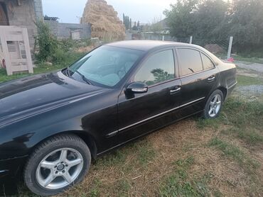 мерс 250 дизель: Mercedes-Benz 270: 2002 г., 2.7 л, Автомат, Дизель, Седан