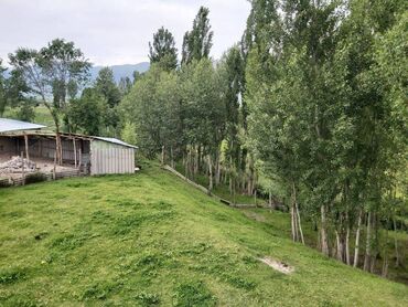 Продажа домов: Дом, 1111111 м², 5 комнат, Собственник — 4