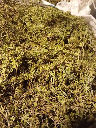 qida məhsulları: Quru dağ kəklikotu (yovşan olmayan, aromatik xırda yarpaqlı ot — 1