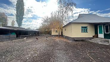 Продажа коттеджей и домов: Продаю 2 дома на одном участке(2 зала,4 спальних комнат,летняя — 18