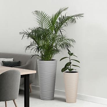 4 pot: Другой декор — 2