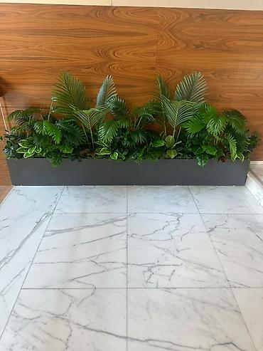 suni bitki: Dekorativ kompozit qutuda süni yaşıl bitkilər - Məhsul: Daxili və — 2