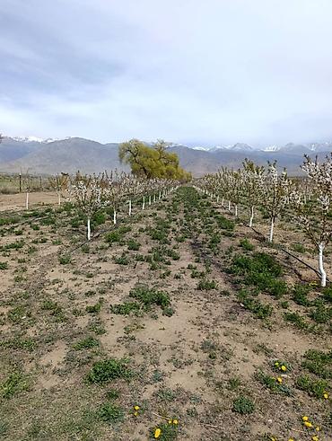 Продажа участков: 80 соток, Для бизнеса — 11