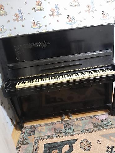 Musiqi alətləri: Pianino – “Кама-Дон” markalı, akustik upright model. Xüsusiyyətlər: - — 2