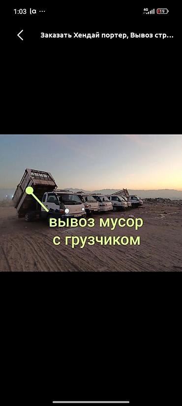 Кемирүүчүлөр: Вывоз мусора вывоз мусора вывоз мусора вывоз мусора вывоз мусора — 1