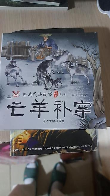 the beatles: Идиомы Серия детских книг на китайском языке: «经典成语故事» (Классические — 1