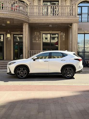 lexus: Lexus NX: 2023 г., 2.5 л, Автомат, Гибрид, Кроссовер — 4
