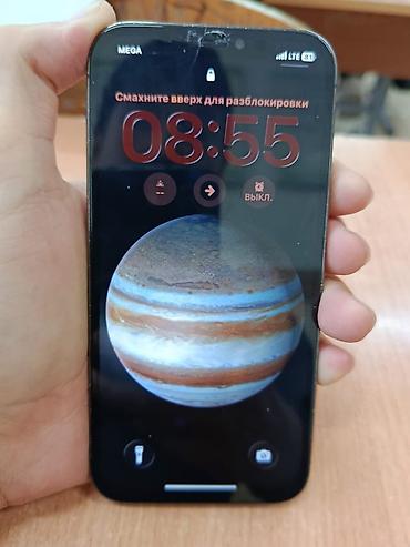 Apple iPhone: IPhone 12 Pro, Графит, Чехол — 13