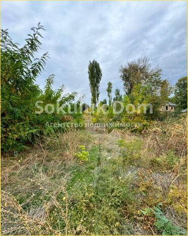 дом рабочый городок: 50 соток