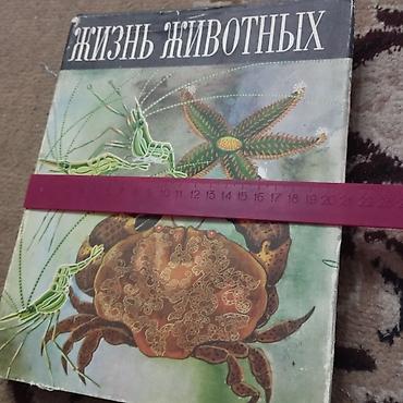 6 минут: Книги научно-познавательные, в шести томах. размер 21×27см. около — 5