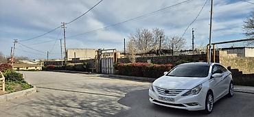 Torpaq sahələrinin satışı: Tikinti — 14