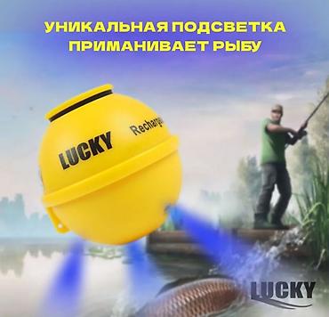 Другое для охоты и рыбалки: Эхолот беспроводной для летней и зимней рыбалки Lucky FF718Lic Lucky — 5
