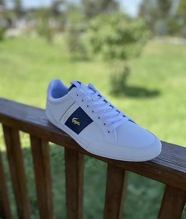 Личные вещи: Мужские кроссовки, 42.5, Lacoste, Новый, цвет - Белый, Самовывоз, Бесплатная доставка, Платная доставка — 3