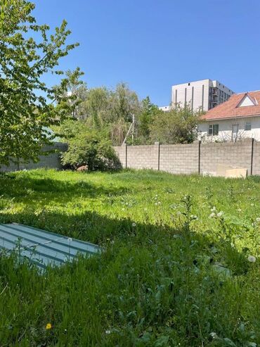 Продажа домов: Красная книга, Тех паспорт