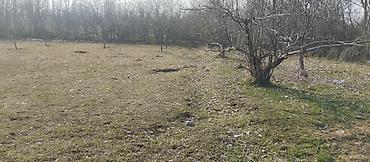 Продажа участков: 18 соток, Для строительства — 9