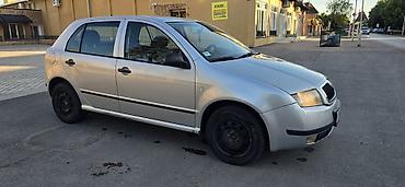 Skoda: Škoda Fabia, srebrna, 5 vrata, registracija KU009-CC. Hečbek — 8