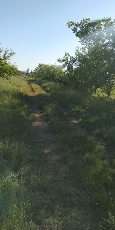 Torpaq sahələrinin satışı: 116 sot, Kənd təsərrüfatı, Barter mümkündür, Kupça (Çıxarış) -da lalafo.az — 13 Torpaq sahələrinin satışı: 116 sot, Kənd təsərrüfatı, Barter mümkündür, Kupça (Çıxarış) — 13