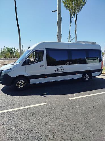 w210 e320: Mercedes-Benz Sprinter — комфортабельный микроавтобус VIP‑класса для — 8
