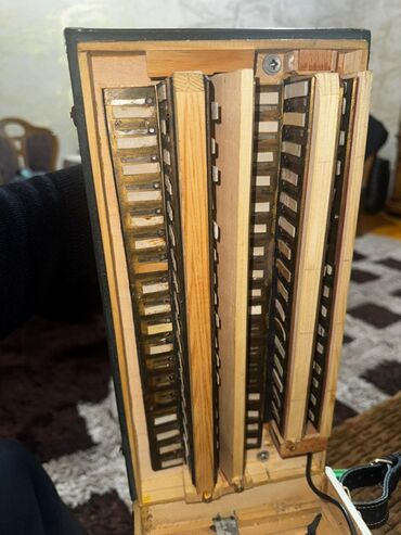 Akkordeonlar: Akustik Akkordeon — 14