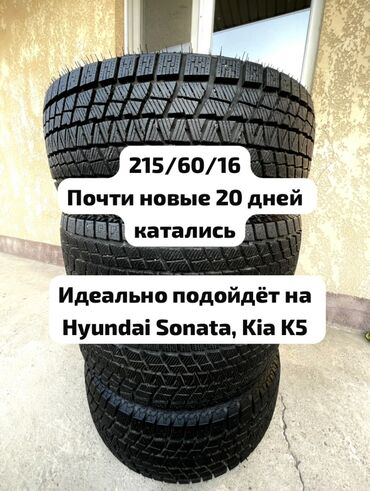 зимние шины 14 размер: Шиналар 215 / 60 / R 16, Кыш, Колдонулган, Комплект, Жеңил унаалар, Жапония, Nexen