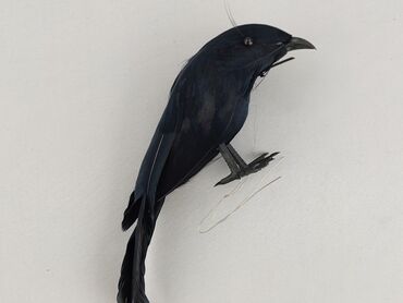 Figurine, condition - Perfect