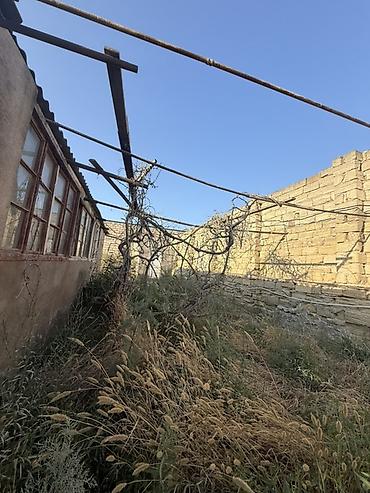 bileceride torpaq satilir: 3 sot, Tikinti, Mülkiyyətçi, Kupça (Çıxarış) — 3