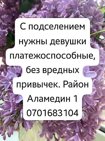 35 м², С мебелью полностью