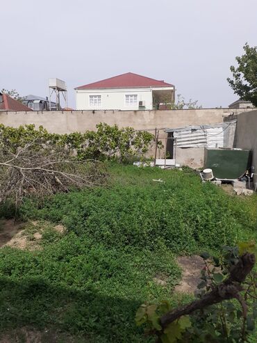 ucuz kiraye evler 2021: 100 kv. m, 3 otaqlı