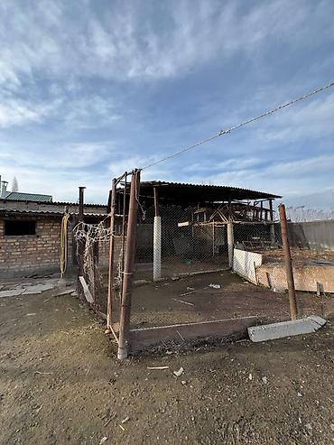 Односпальные кровати: 🏡 Продаётся дом с участком 8 соток 📍 Село Раздольное Продаётся уютный at lalafo.kg — 29 Односпальные кровати: 🏡 Продаётся дом с участком 8 соток 📍 Село Раздольное Продаётся уютный — 29