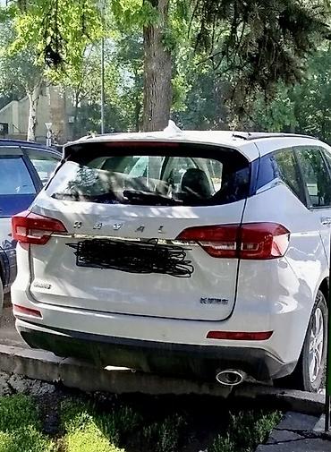 Haima: Hozon : 2019 г., 1.5 л, Автомат, Бензин, Кроссовер — 1