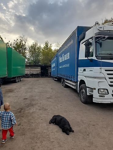 Грузовики: Грузовик, Mercedes-Benz, Б/у — 2