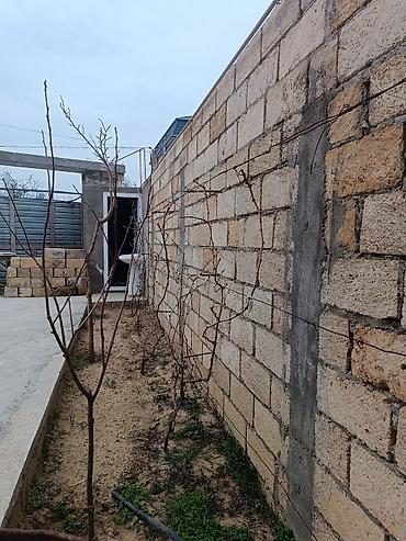 Həyət evləri və villaların satışı: Hasarlı daş hasarlı həyətyanı sahəsi olan fərdi ev - Tam müstəqil — 11