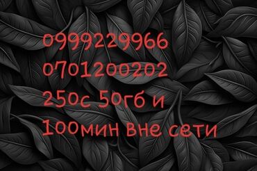 тариф о 50 сом бишкек: Продаю новые корп номер Тариф спец 50гб и 100мин вне сети цена 4000