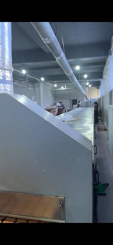 Производство кондитерских изделий: Туннельная печь для выпечки печенья/кондитерских изделий Описание: - — 5