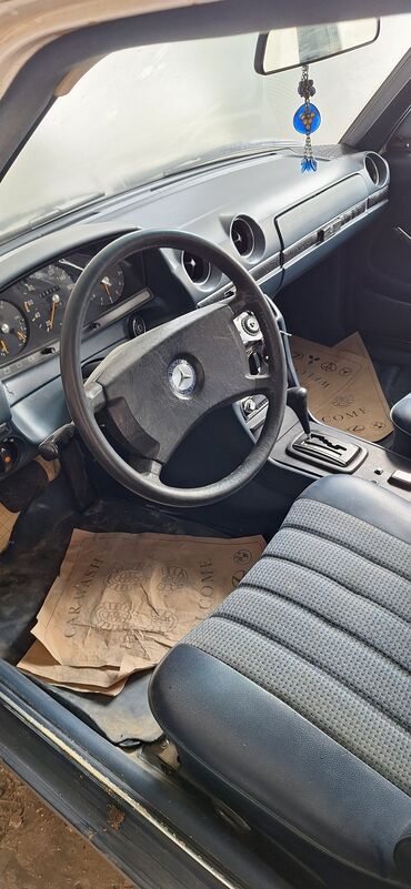 Mercedes-Benz: Mercedes-Benz 250: 2.5 l | 1981 il Sedan — 12