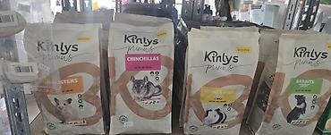mačka prodaja: Kinlys Primus i Benelux/Pany Pets – hrana i oprema za male životinje i — 1