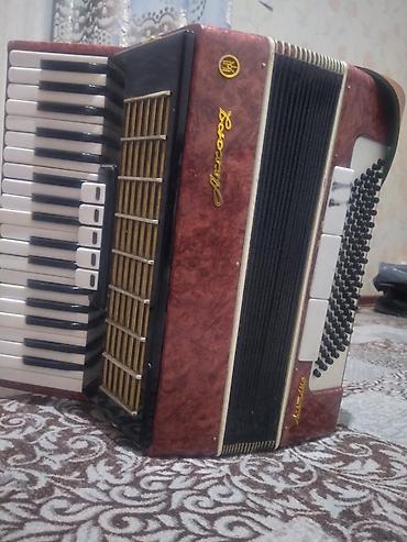 Аккордеоны: Аккордеон «Россий» (надпись на корпусе), красно-коричневый — 11