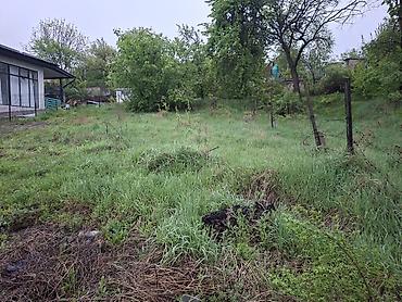 green hill: 4 соток, Для строительства, Красная книга — 7