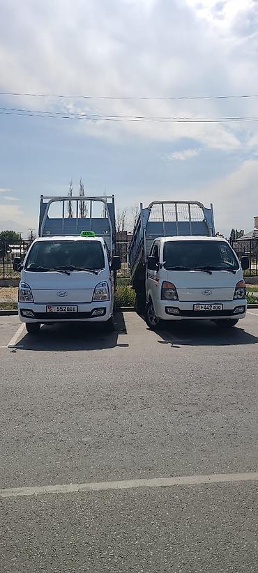 Грузоперевозки малотоннажными бортовыми/самосвальными Hyundai Porter