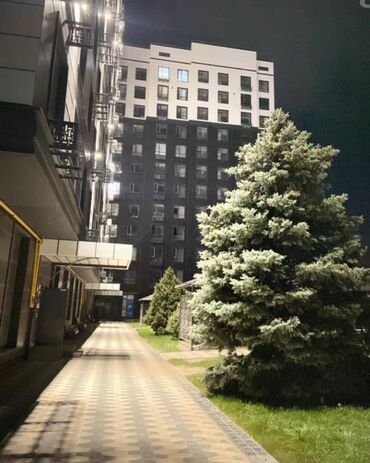 сниму квартиру в кок жар: 2 бөлмө, 62 кв. м, Элитка, 9 кабат, Евроремонт