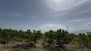 Продажа участков: 400 соток, Для сельского хозяйства, Генеральная доверенность, Договор купли-продажи, Тех паспорт — 9