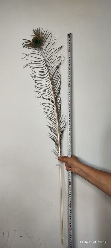 Декор для дома и сада: Декор для дома и сада at lalafo.kg — 7 Декор для дома и сада: Декор для дома и сада — 7