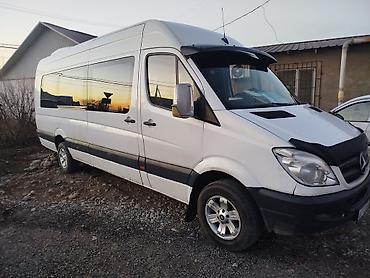 w463 g class: Количество мест: 18, Лицензия №: 08В006364 — 4