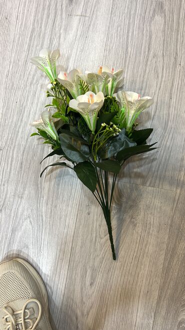 Toxumlar: 9 azn baslayan qiymetler Suni qazonlarin topdan satisi Suni qazon — 28