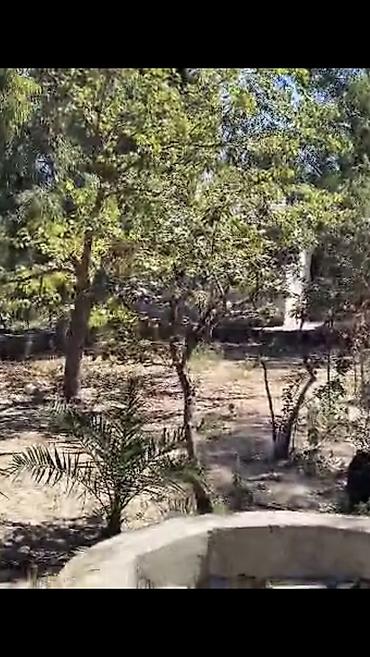 Bağ evlərinin satışı: Nardaran. Sea Breezele uz-beuz 44 sot, 6 dene ev (ayrica), 11 otag — 8