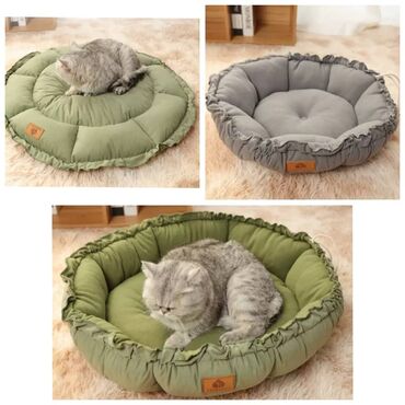 Зоотовары: Продаю приспособление для выращивания травы для животных и людей(в — 30