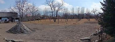 Продажа участков: 25 соток — 5