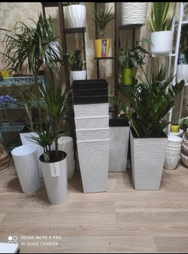 Горшки для растений: Кашпо — 3