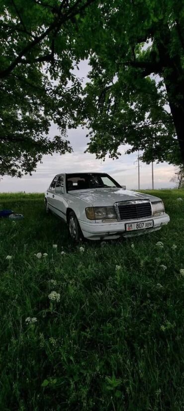 subaru outback цена бишкек: Mercedes-Benz W124: 1989 г., 2 л, Механика, Дизель, Седан